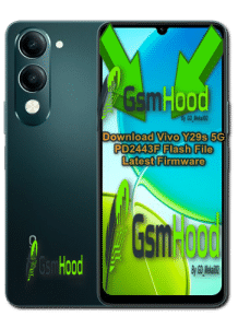 Download Vivo Y29s 5G PD2443F Flash File Latest Firmware